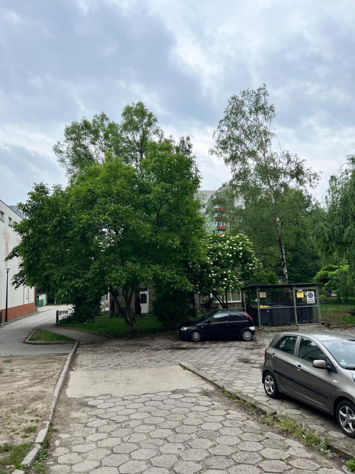 Nocleg Opole Kopernik Apartament 외부 사진